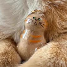 Cat Hair Keepsake Keychain Pendant Pet Fur Storage Ornament for Backpack Bag Hanging Souvenir Gift for Cat Lovers Memorial Use